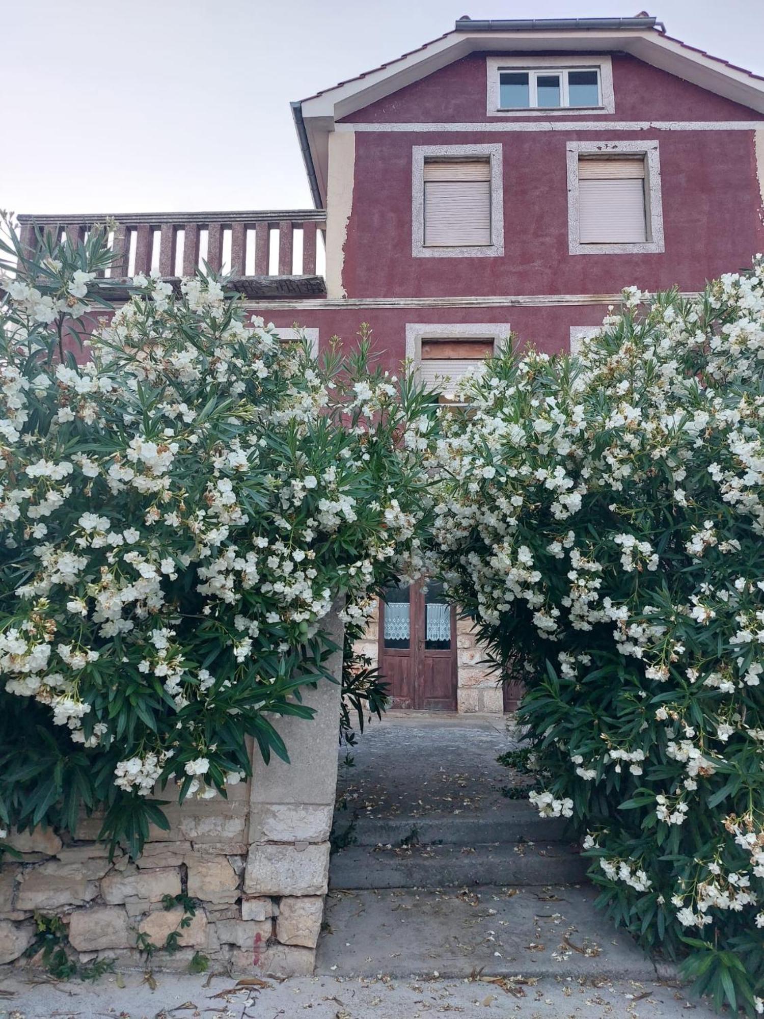 Apartment Bozava - Nena エクステリア 写真